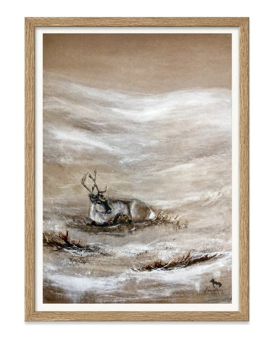 Hovedbilde Poster Liggande ren med renkalv 21x30 cm