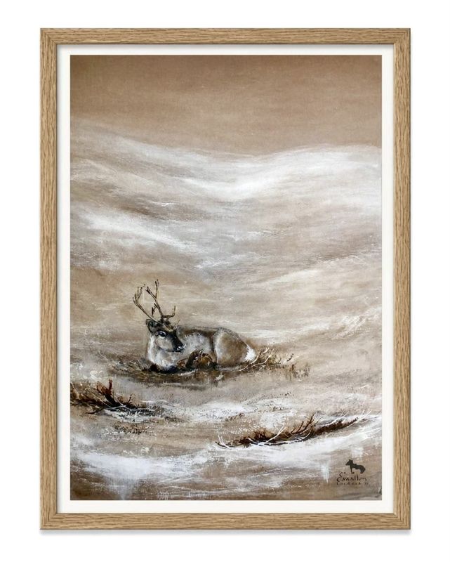 Poster Liggande ren med renkalv 21x30 cm