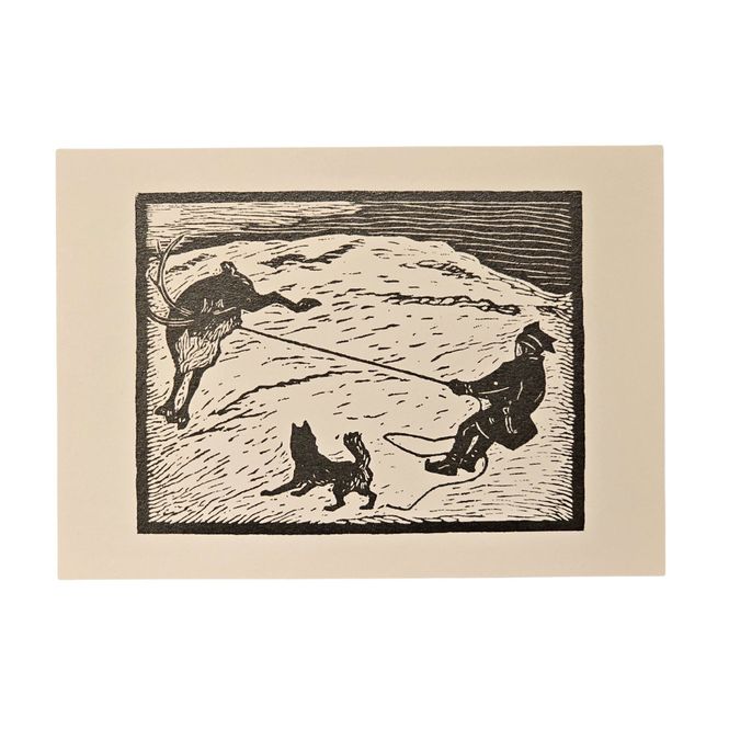 Hovedbilde Suophan John Savio Konskort A6